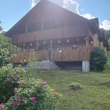 Cabana Suciu Villa Rachitele Exterior photo