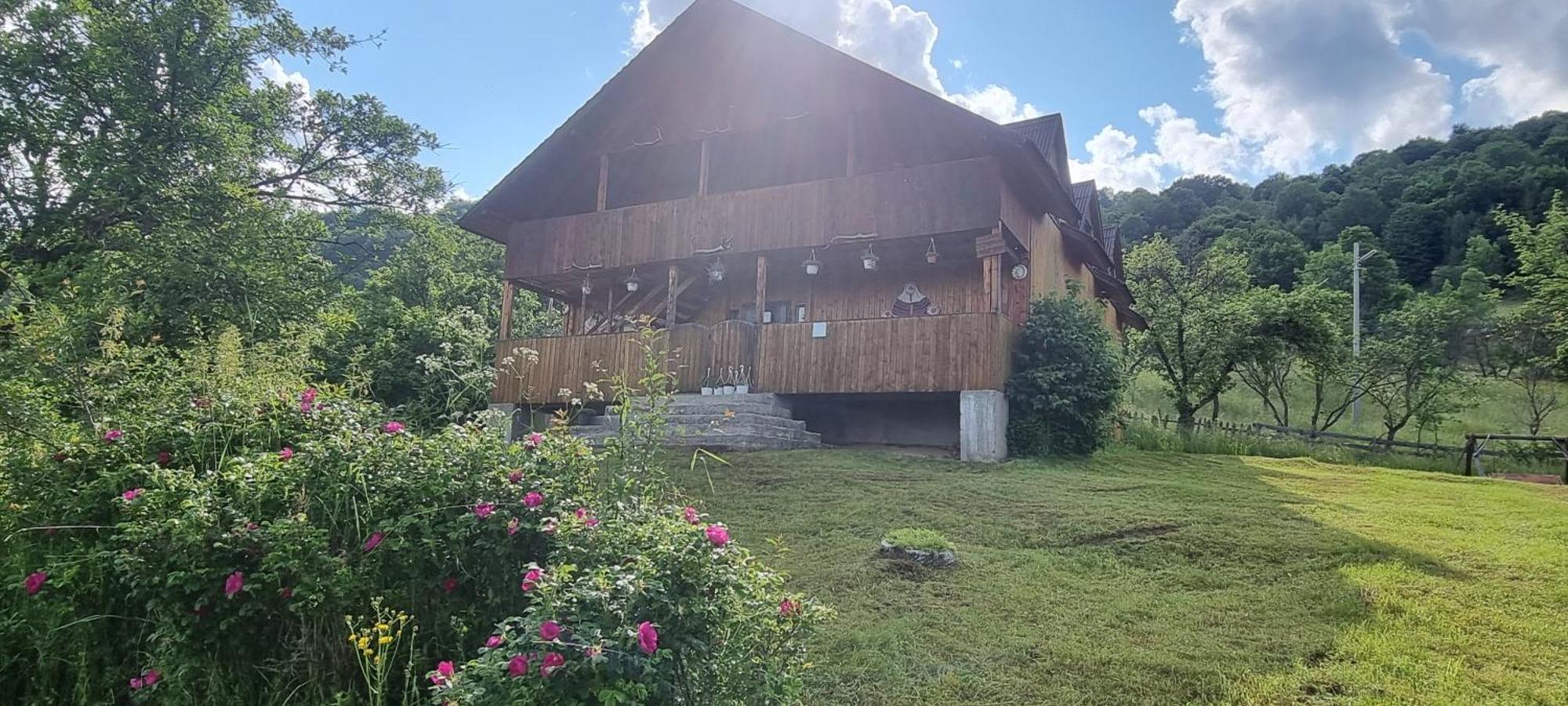 Cabana Suciu Villa Rachitele Exterior photo