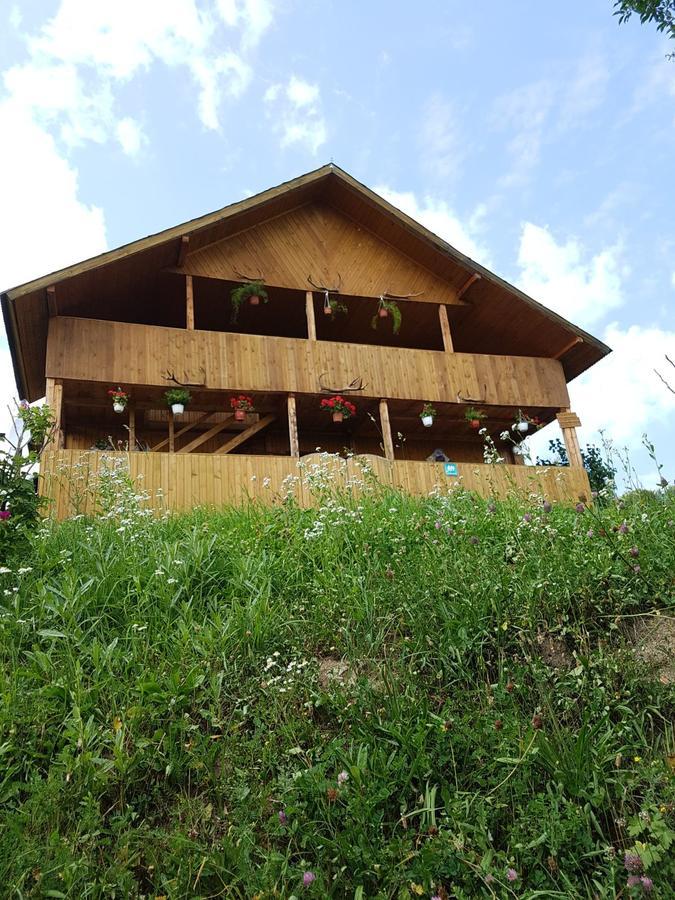 Cabana Suciu Villa Rachitele Exterior photo